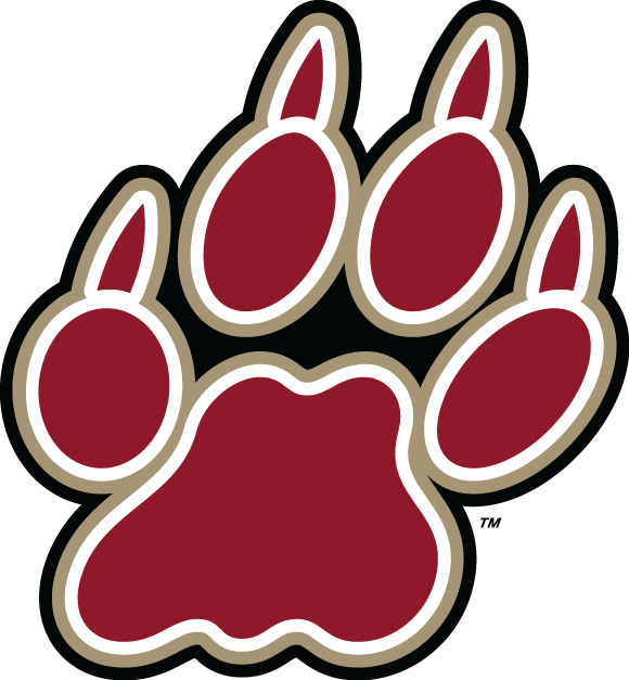 Lafayette Leopards 2000-Pres Alternate Logo v4 diy iron on heat transfer